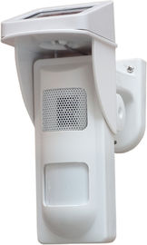 Détecteur extérieur solaire blanc d'alarme de tache avec l'alerte de bruit et de lumière